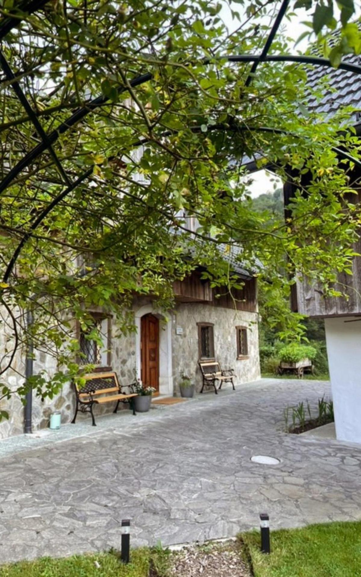 4 Elements Glamping & Apartments Bled Exterior photo
